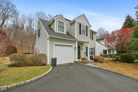 48 Village Court 48 Wilton CT 06897