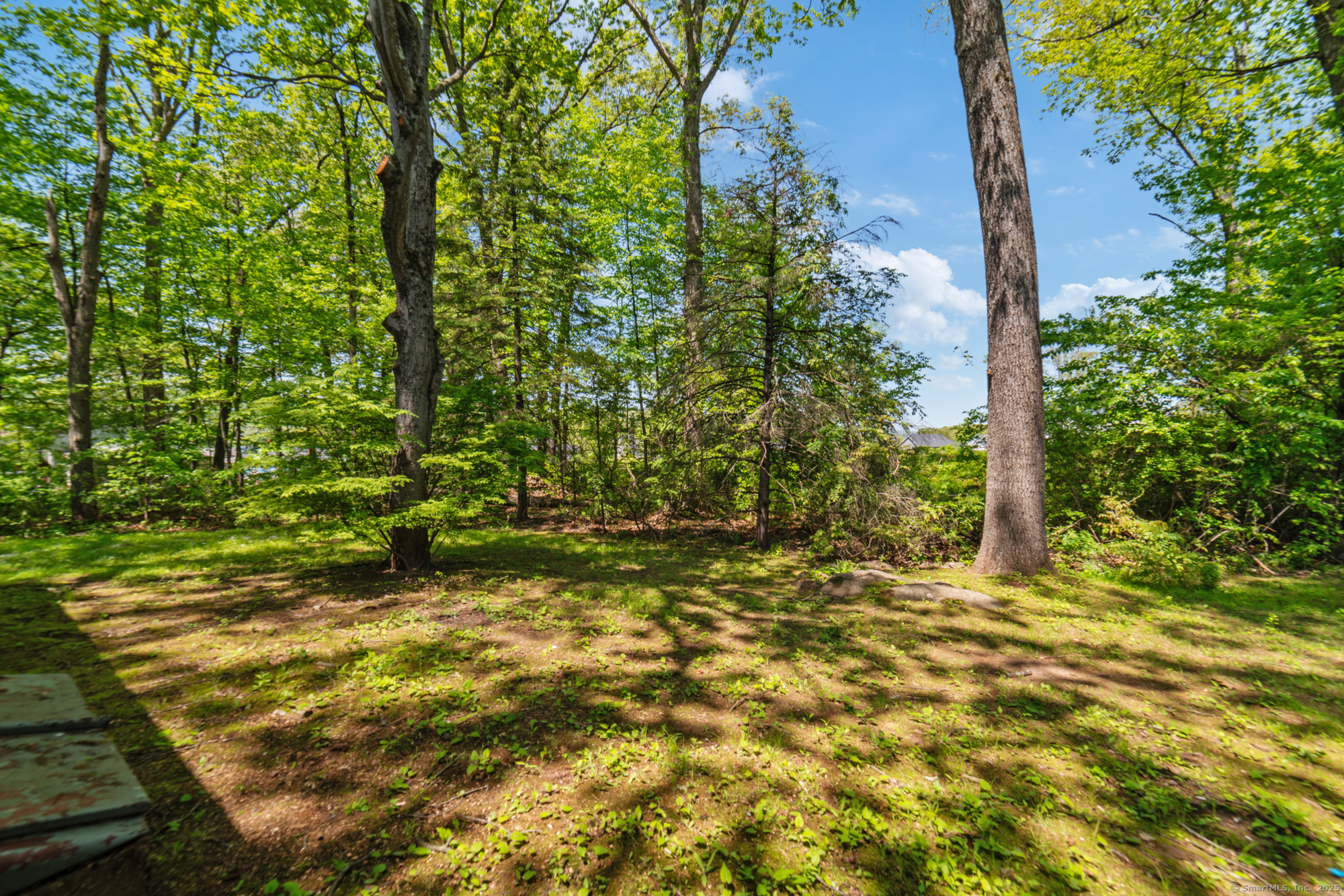 151 Loper Street, Southington, Connecticut image 30