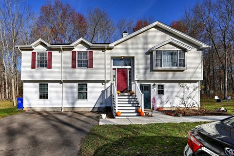 Photo of 424 Bridge Street, Suffield, CT 06078 (MLS # 24140680)