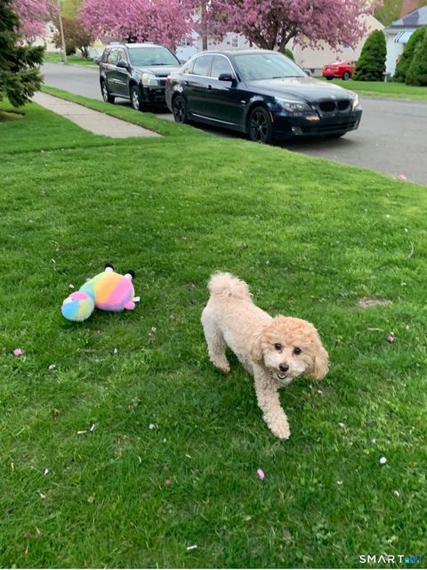 Tiny photo for 270 Andrew Street, Stratford, CT 06614 (MLS # 24163392)