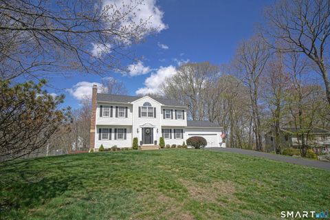 Photo of 20 Stephen Court, Prospect, CT 06712 (MLS # 24166512)