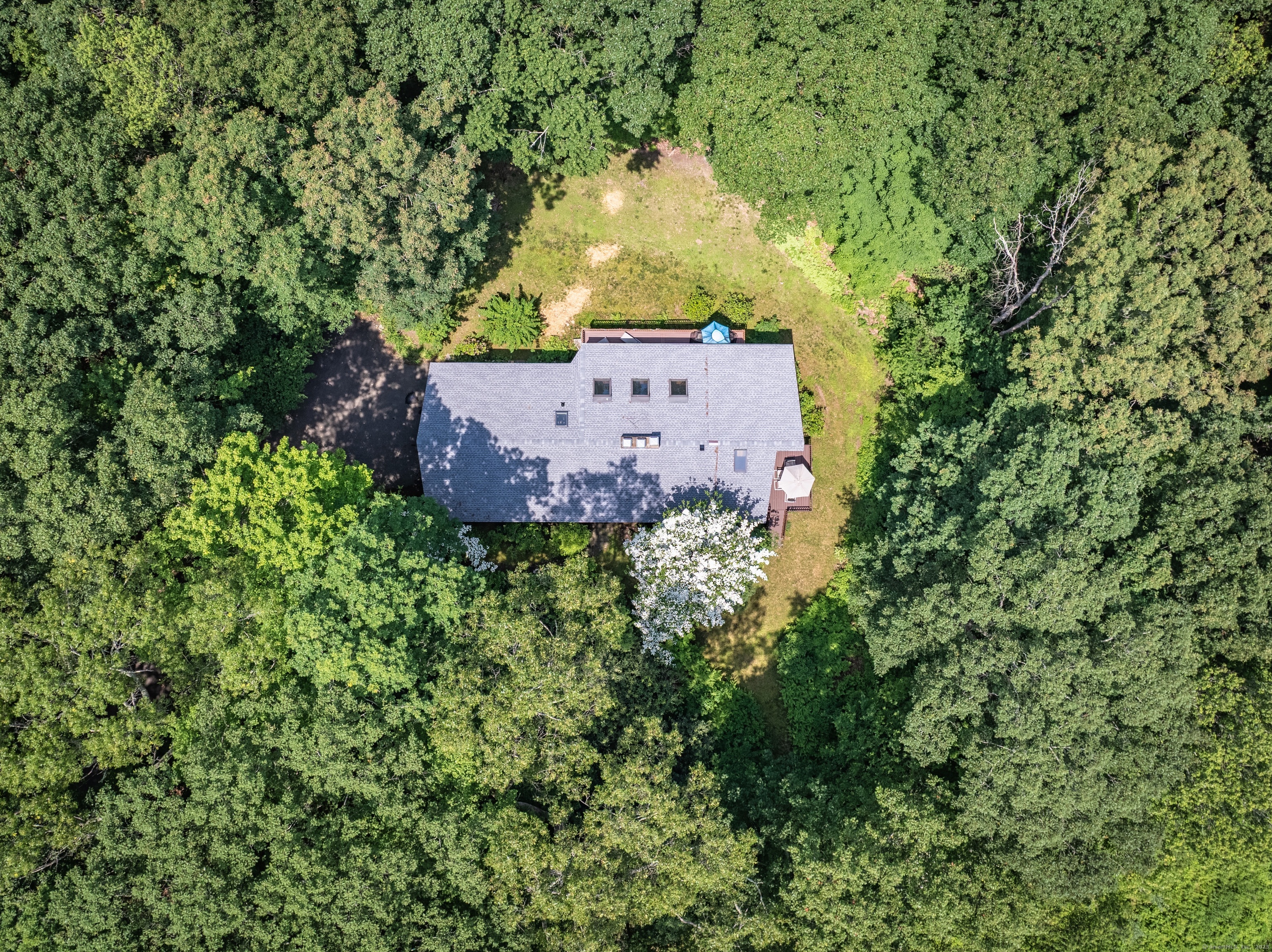 88 Hillyndale Road