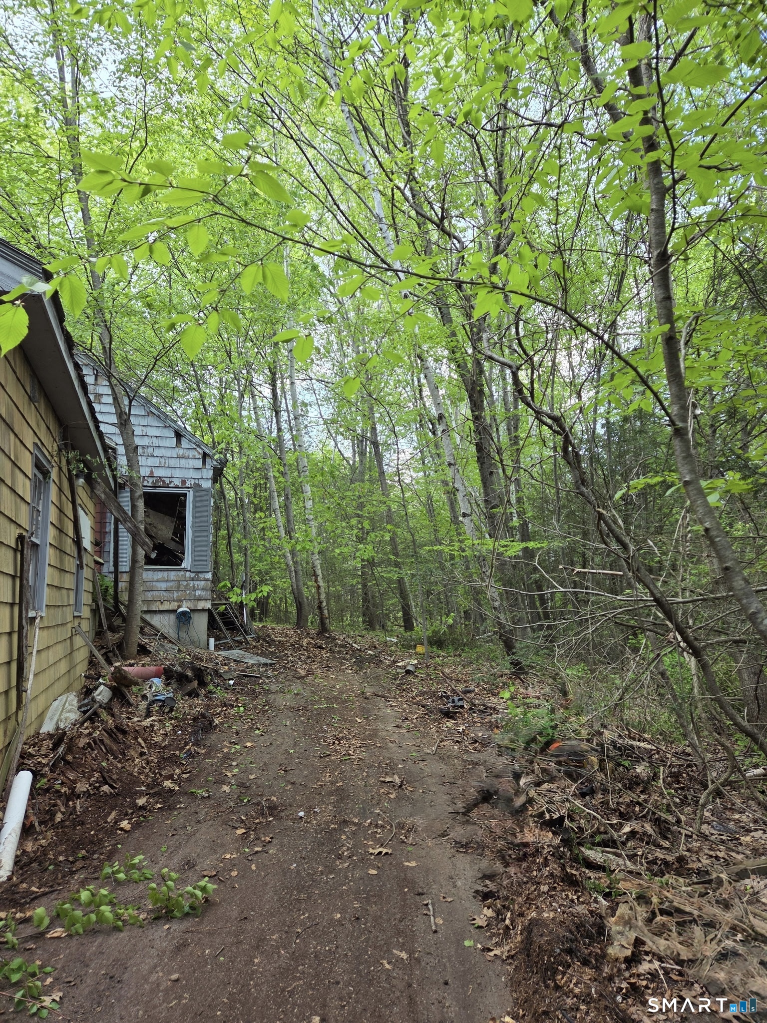 33 Davis Road