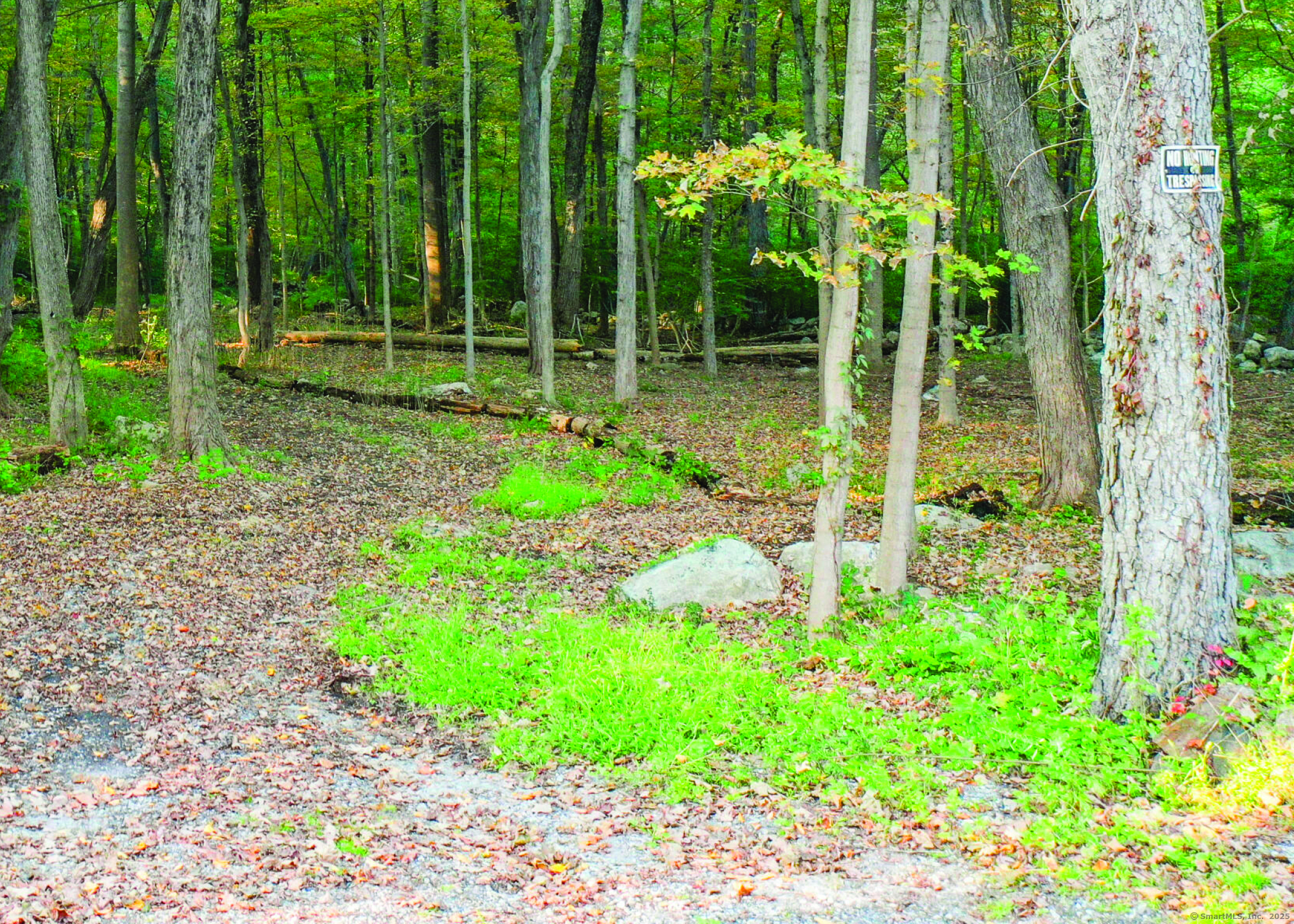 June Road LOT 1
