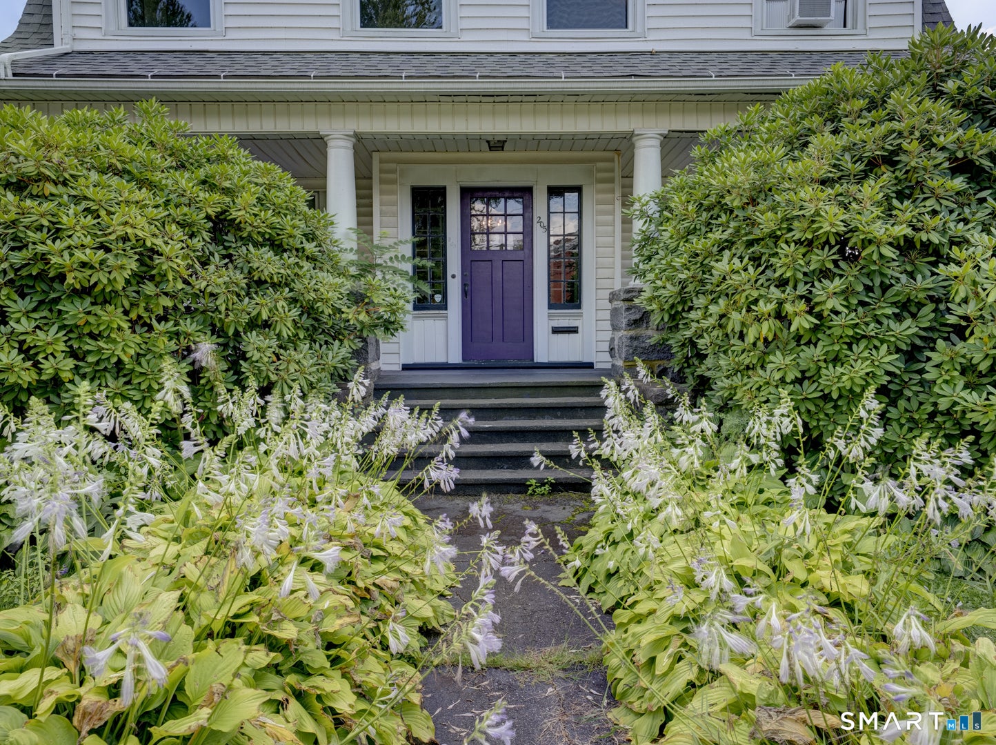 205 Albert Street