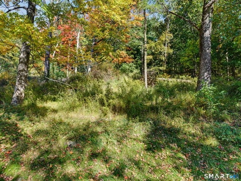 Tiny photo for 308 State Route 39, New Fairfield, CT 06812 (MLS # 24213204)