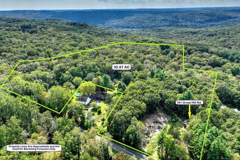 181 Great Hill Road, Seymour, CT 06483 - #: 24127318