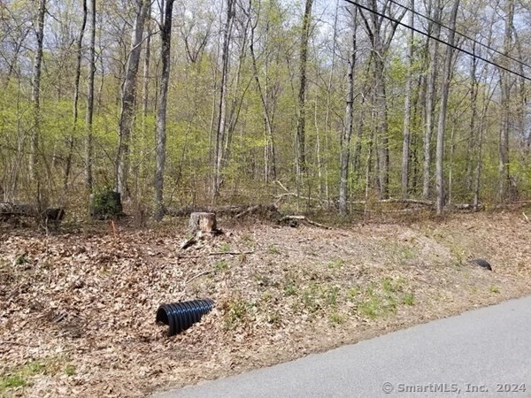 002 Mihaliak Rd Road, Willington, Connecticut image 4