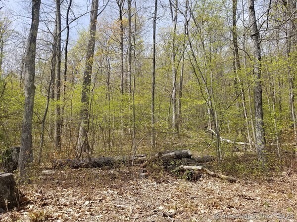 002 Mihaliak Rd Road, Willington, Connecticut image 6