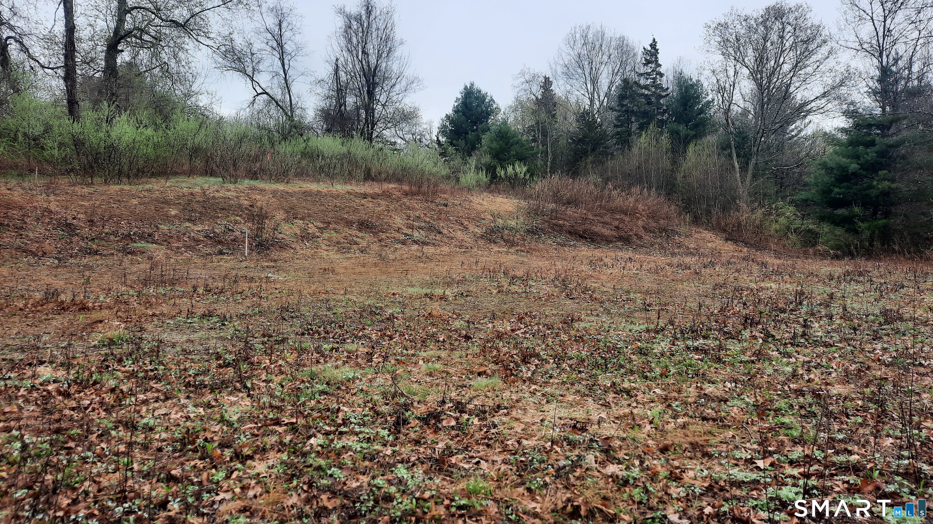 Lot 03-2 New Sweden Road