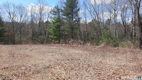 Photo of Lot 03-2 New Sweden Road, Woodstock, CT 06281 (MLS # 24169977)