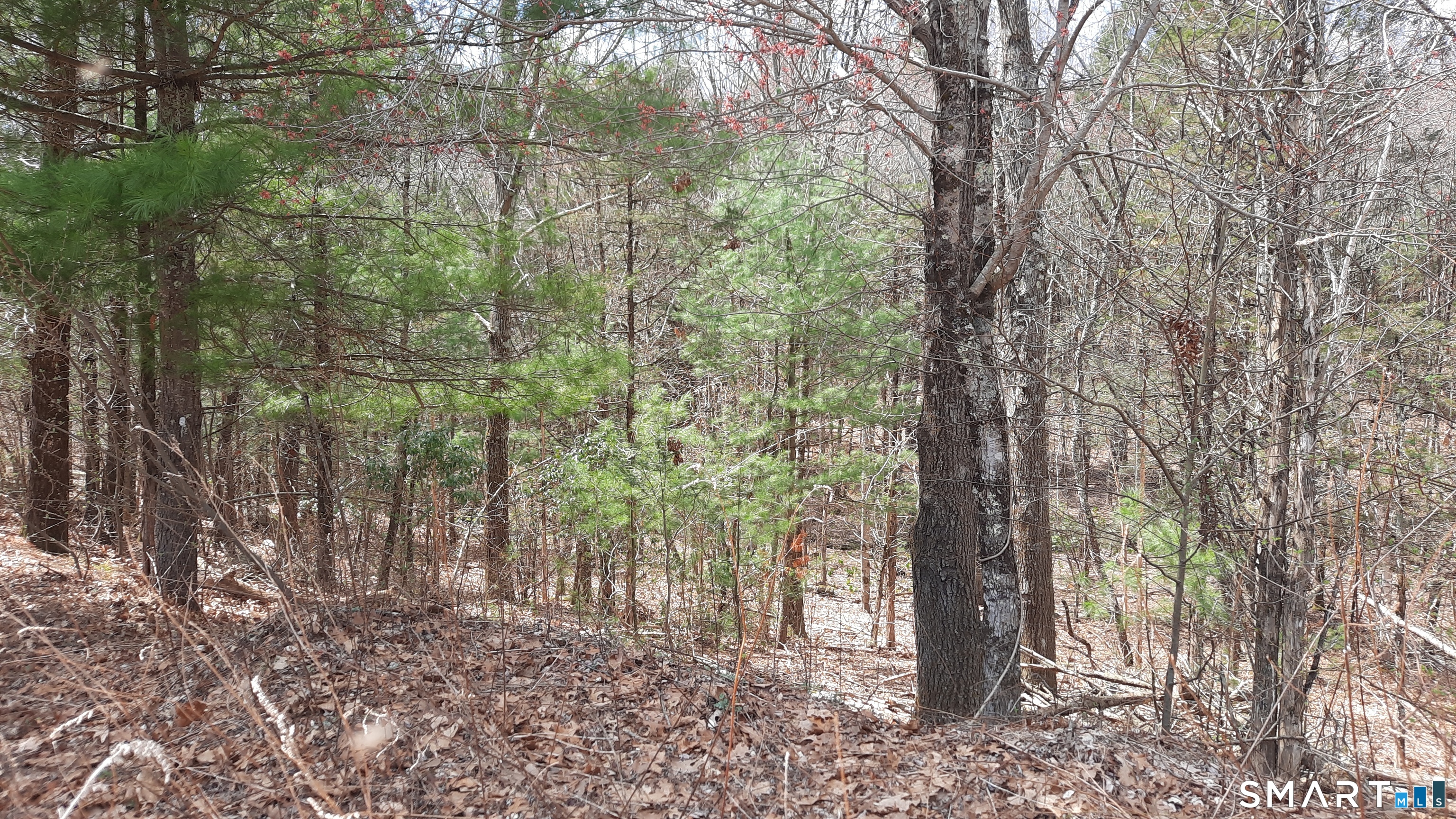 Lot 03-2 New Sweden Road
