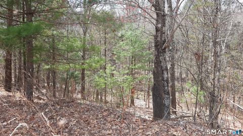 Tiny photo for Lot 03-2 New Sweden Road, Woodstock, CT 06281 (MLS # 24169977)