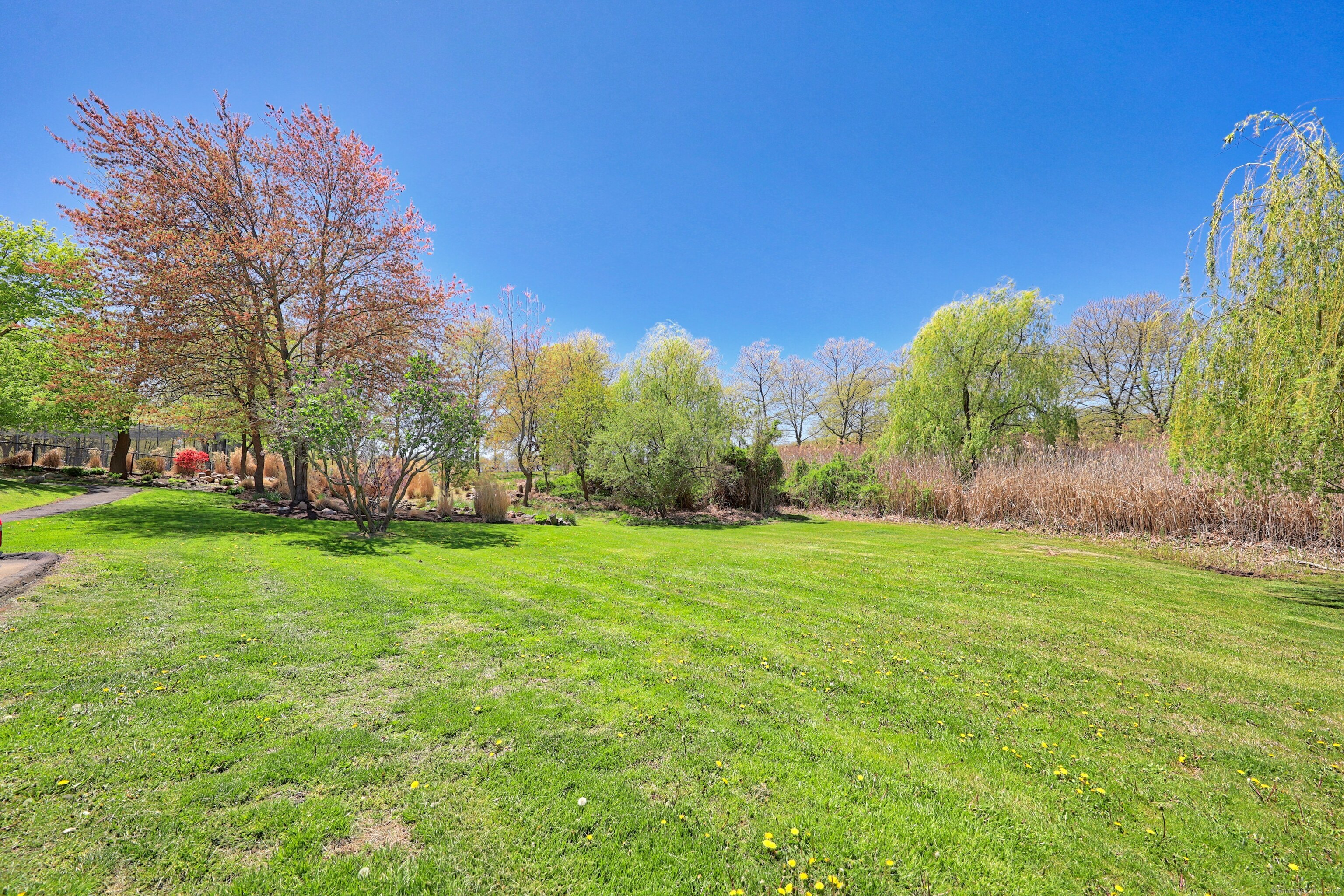 418 Woodward Avenue #APT 20, New Haven, Connecticut image 29