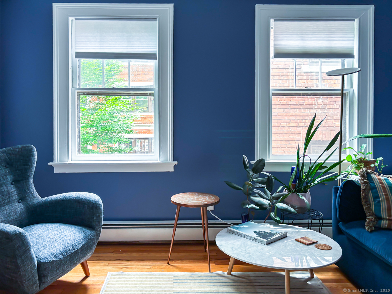 492 Whitney Avenue #4B, New Haven, Connecticut image 20