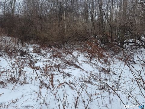 Tiny photo for 262 Stoddard Road, Morris, CT 06763 (MLS # 24147510)