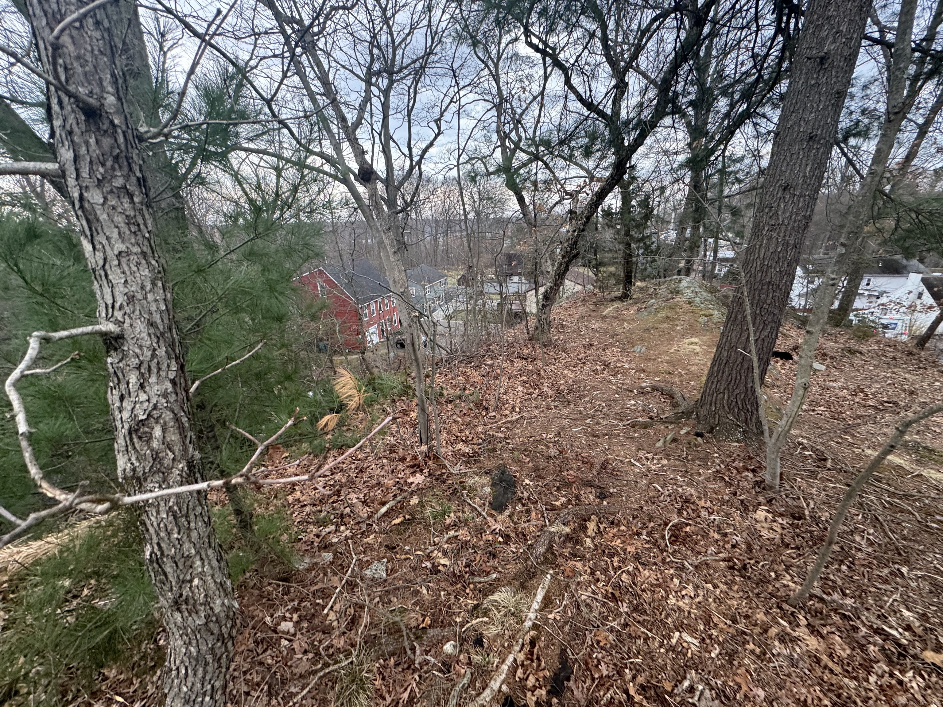 Oronoque Trail, Shelton, Connecticut image 9