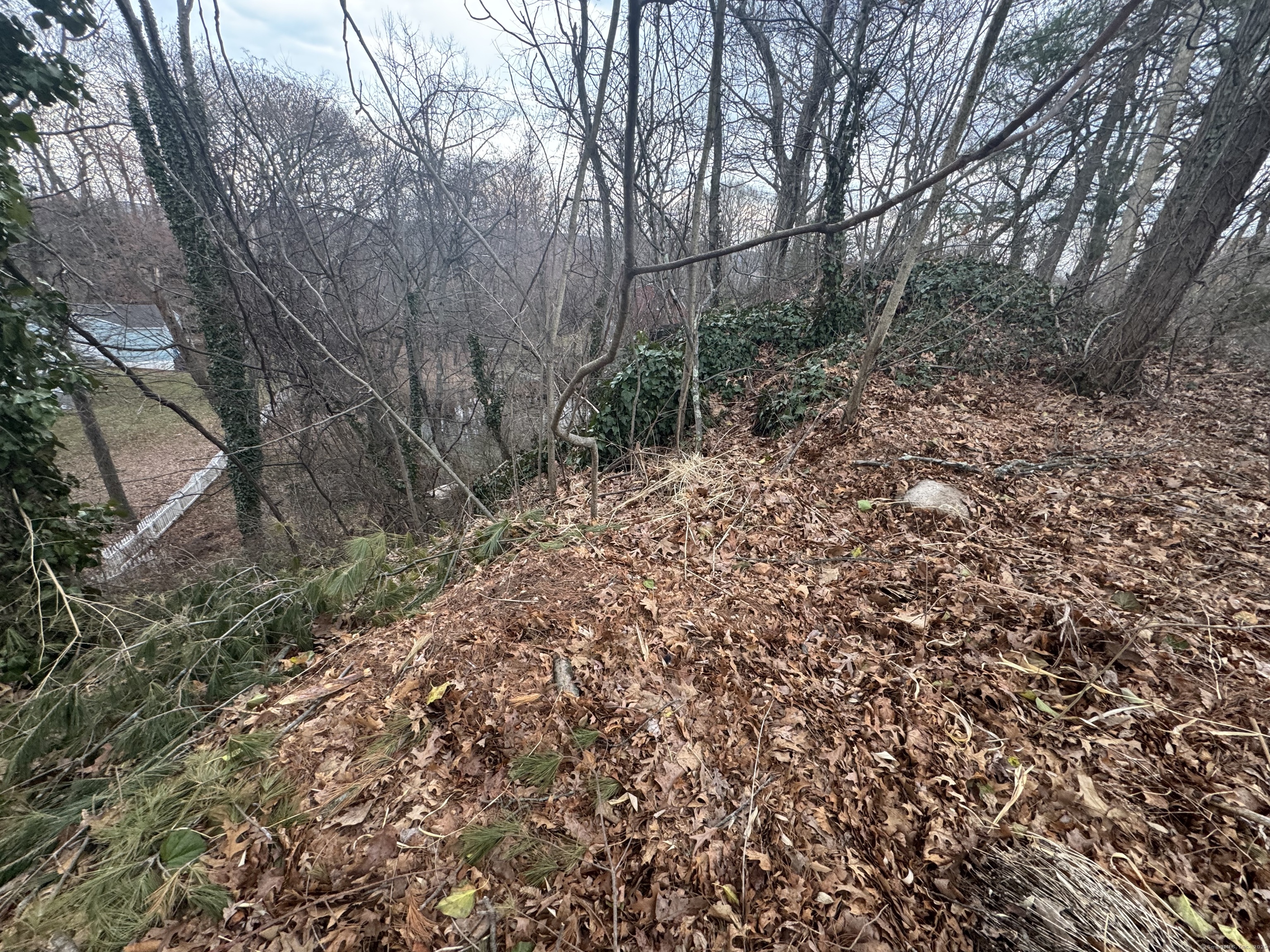 Oronoque Trail, Shelton, Connecticut image 4