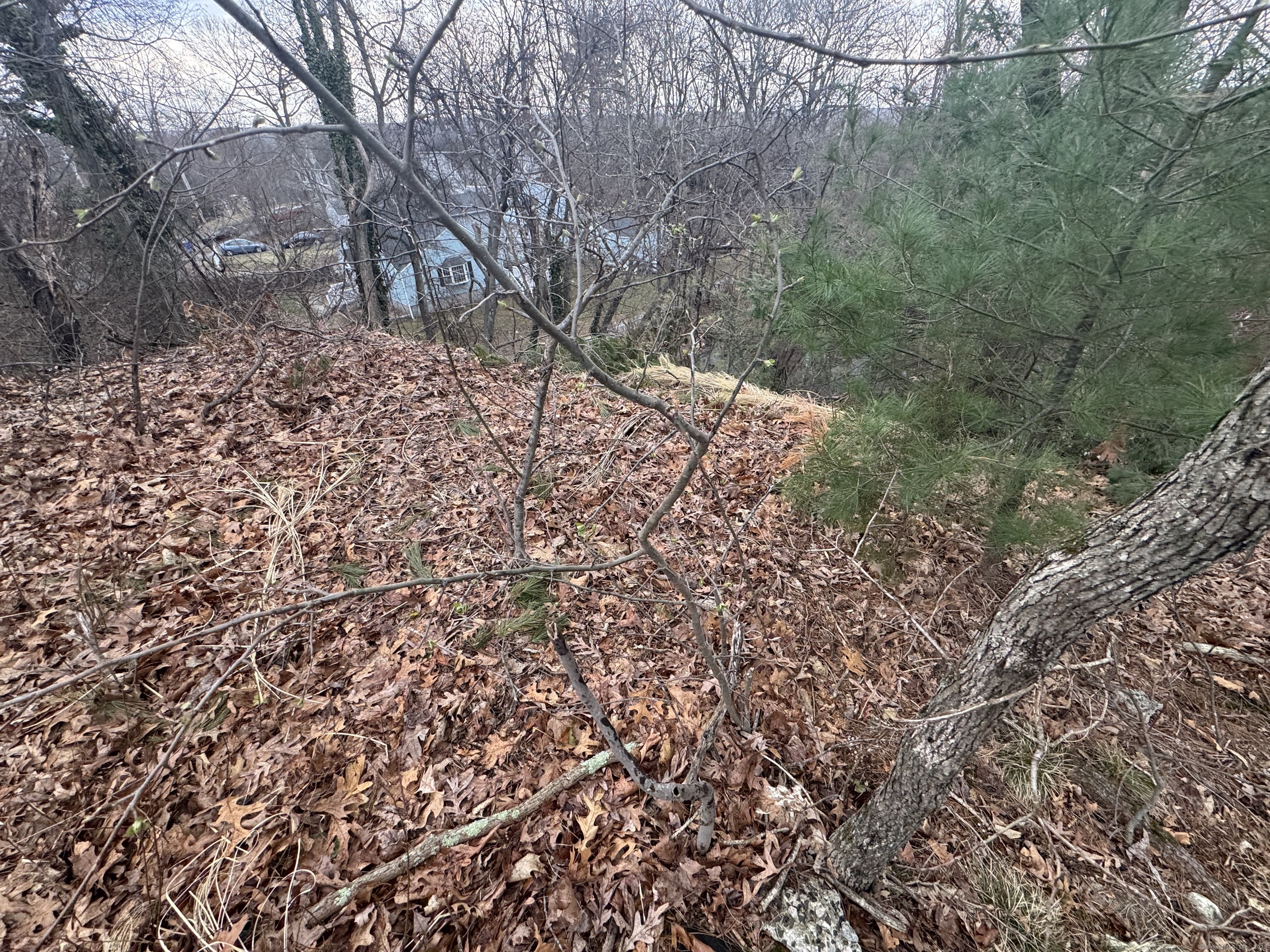 Oronoque Trail, Shelton, Connecticut image 6