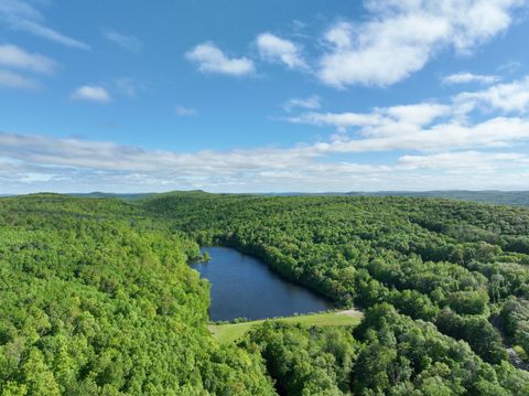 Vacant Land For Sale - 201 Diamond Ledge Road<br/> Tolland County, Stafford, CT 06076