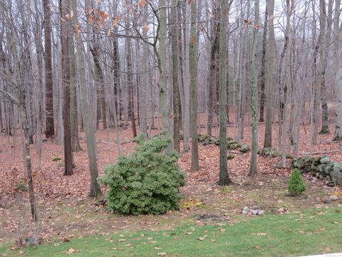 Tiny photo for 20 Bramble Way, Cheshire, CT 06410 (MLS # 24142279)