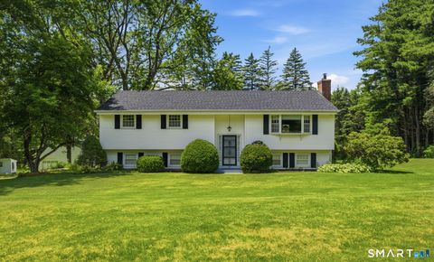 Photo of 385 Cotton Hill Road, New Hartford, CT 06057 (MLS # 24183610)