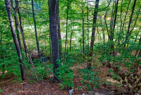 Tiny photo for 94 Sanford Avenue, Farmington, CT 06085 (MLS # 24130230)