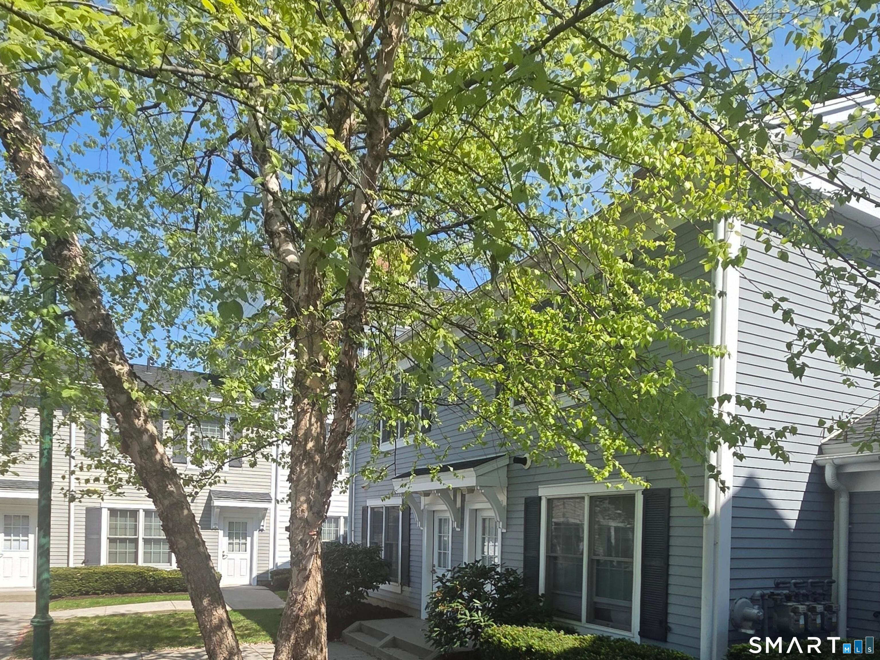 37 Fairfield Avenue