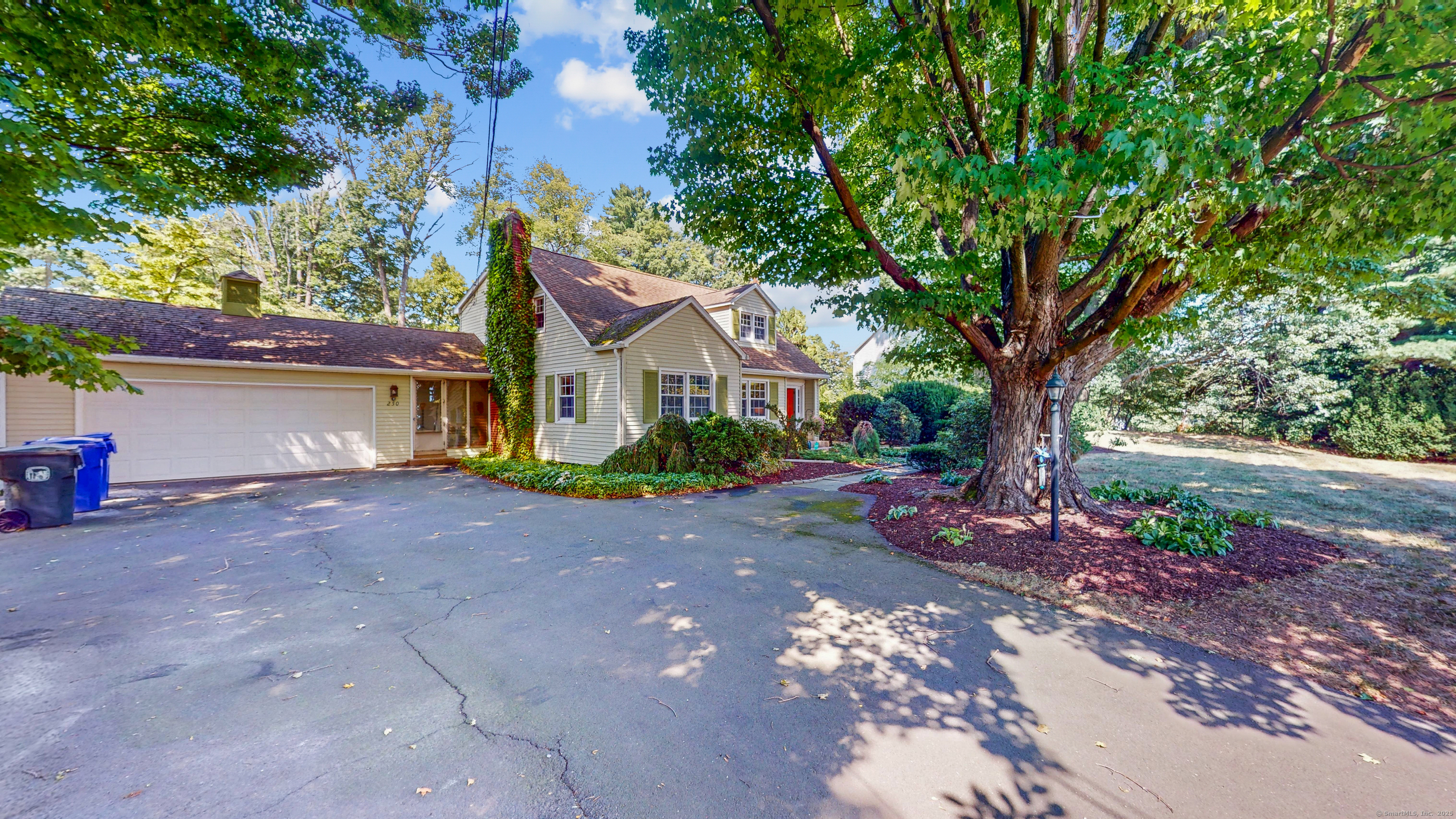 250 Cedar Street