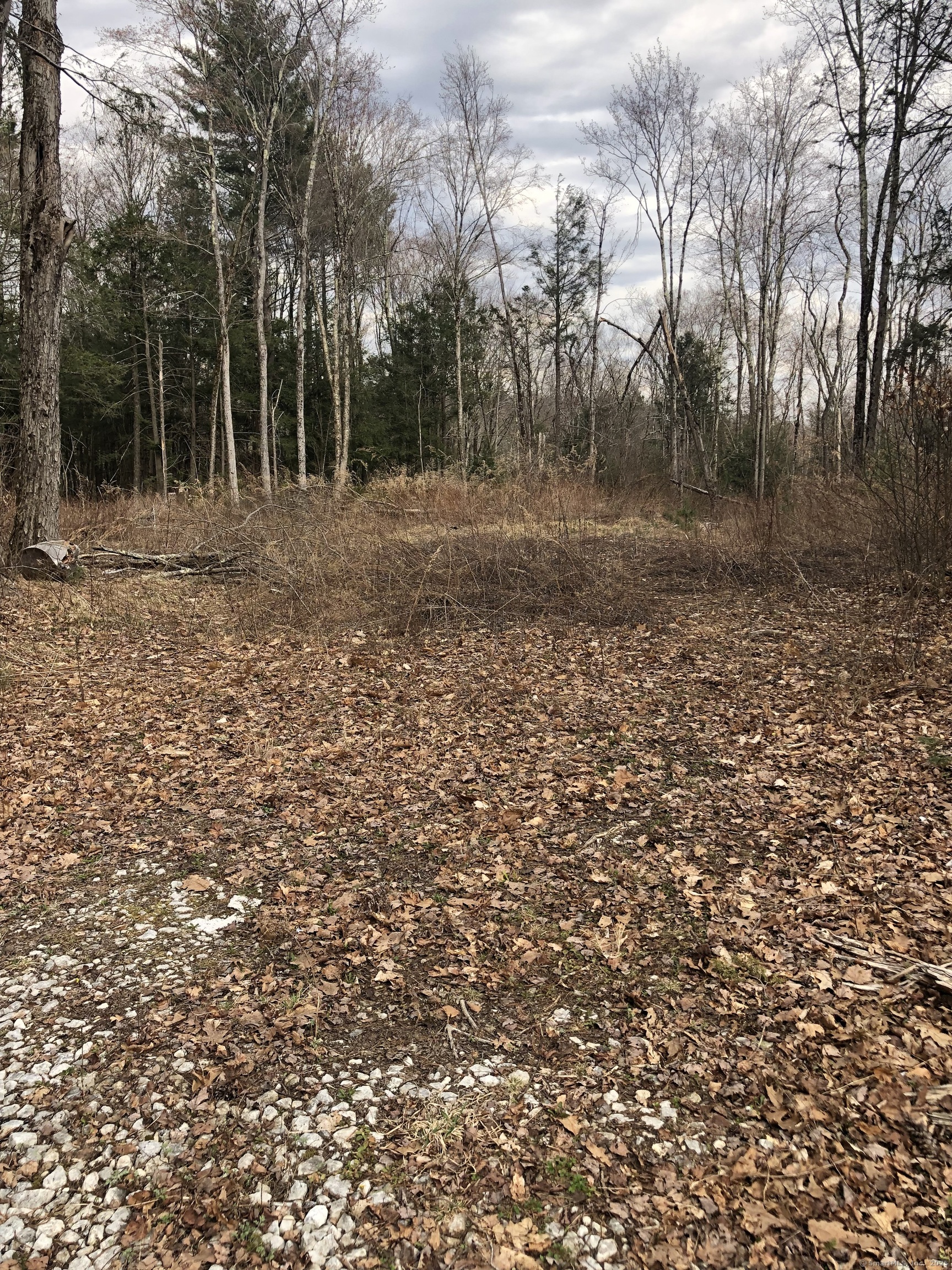 Winsted - Norfolk Road, Colebrook, Connecticut image 3