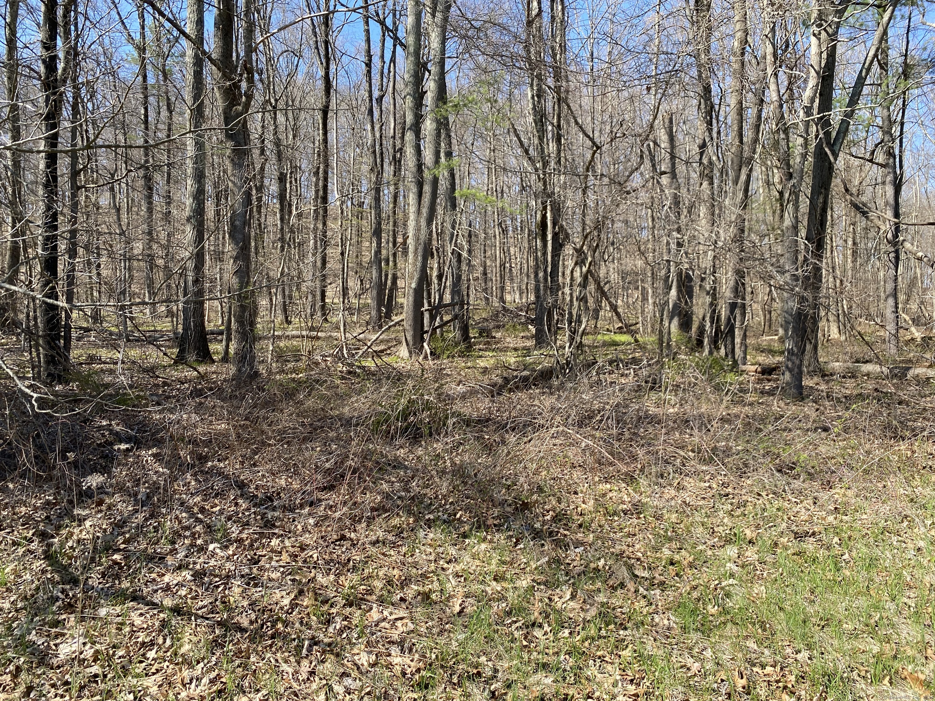 198-2 Beebe Hill Road, Canaan, Connecticut image 8