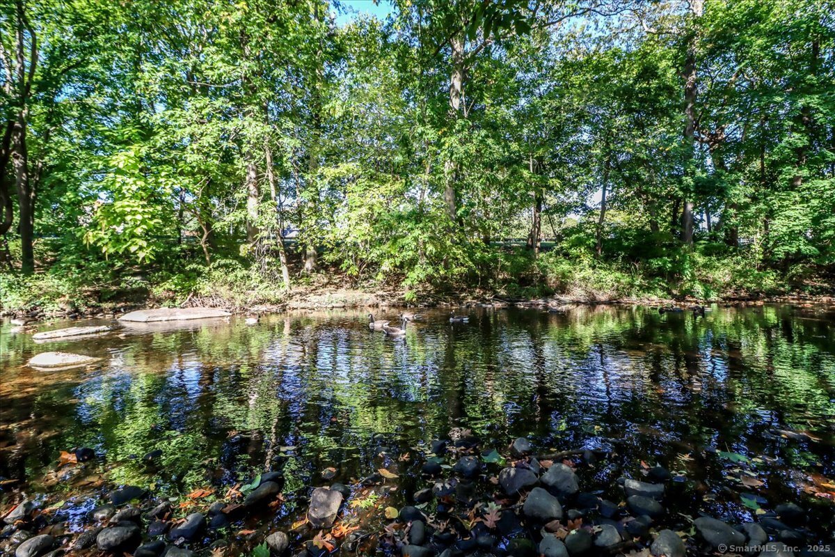 Stamford, Connecticut 06905, United States, 3 Bedrooms Bedrooms, ,2 BathroomsBathrooms,Residential,Coming Soon,228128