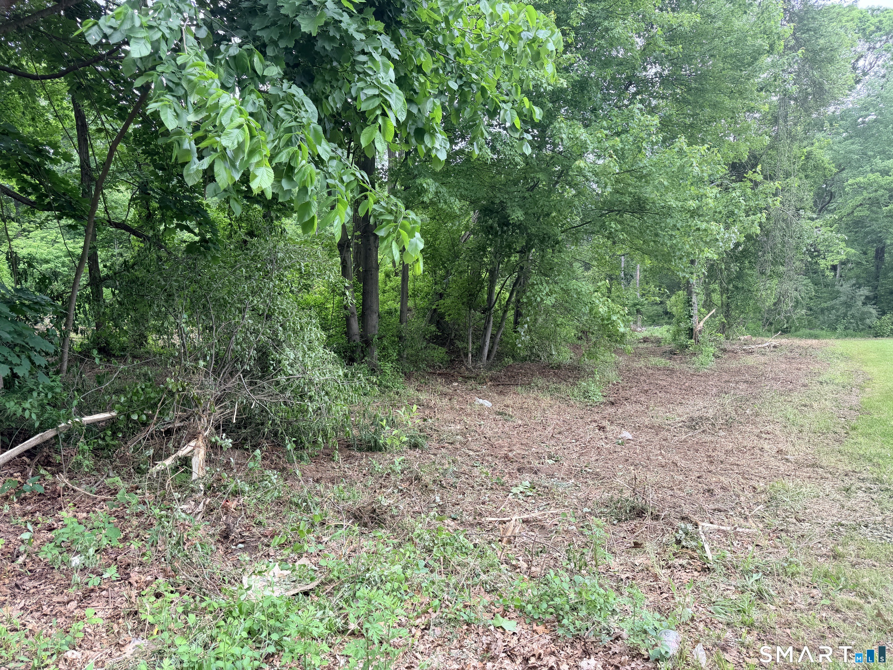 North Road