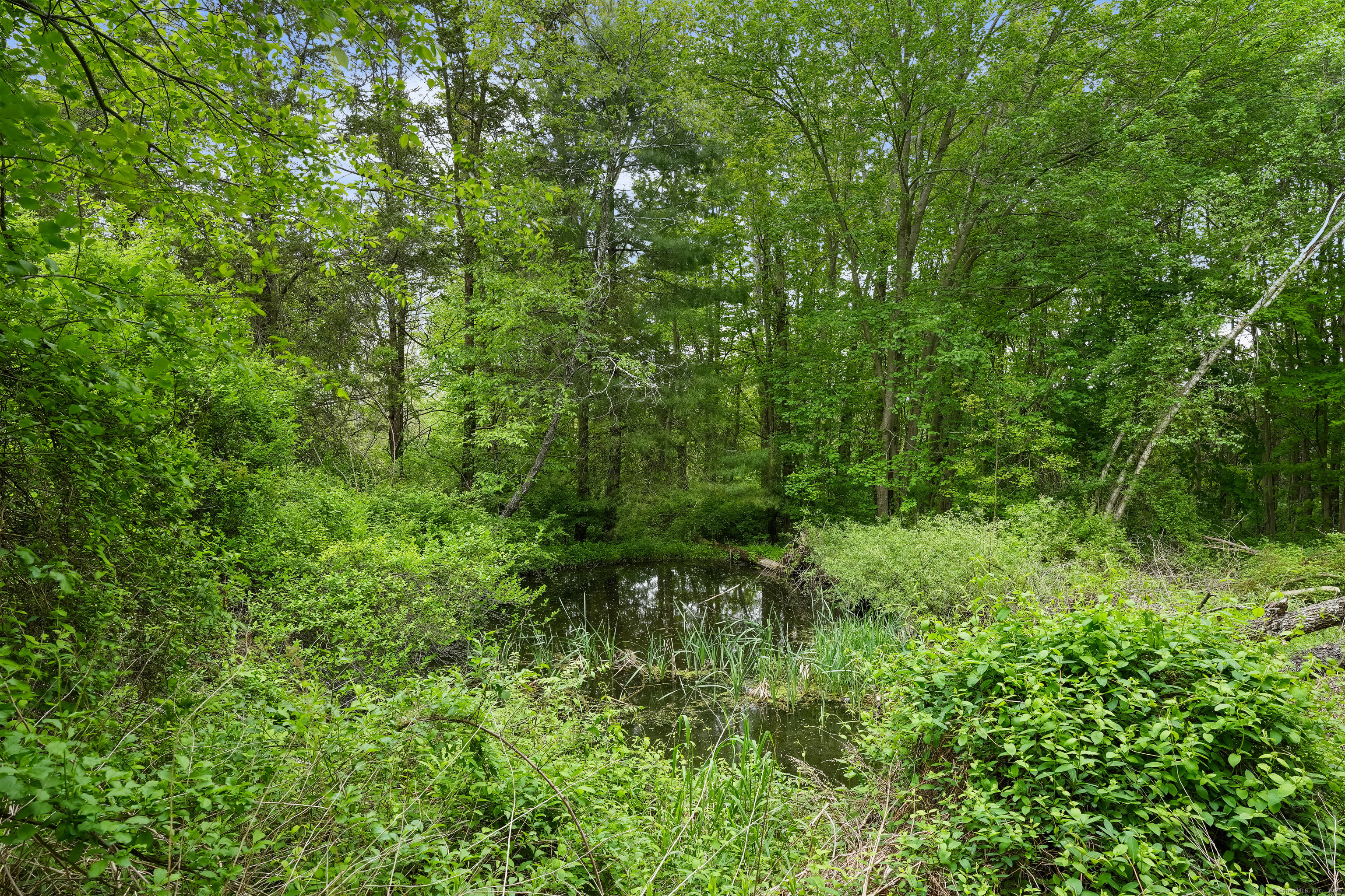 306 Litchfield Turnpike, Bethany, Connecticut image 35