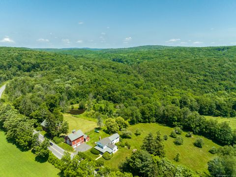 163 Lake Road Warren CT 06754