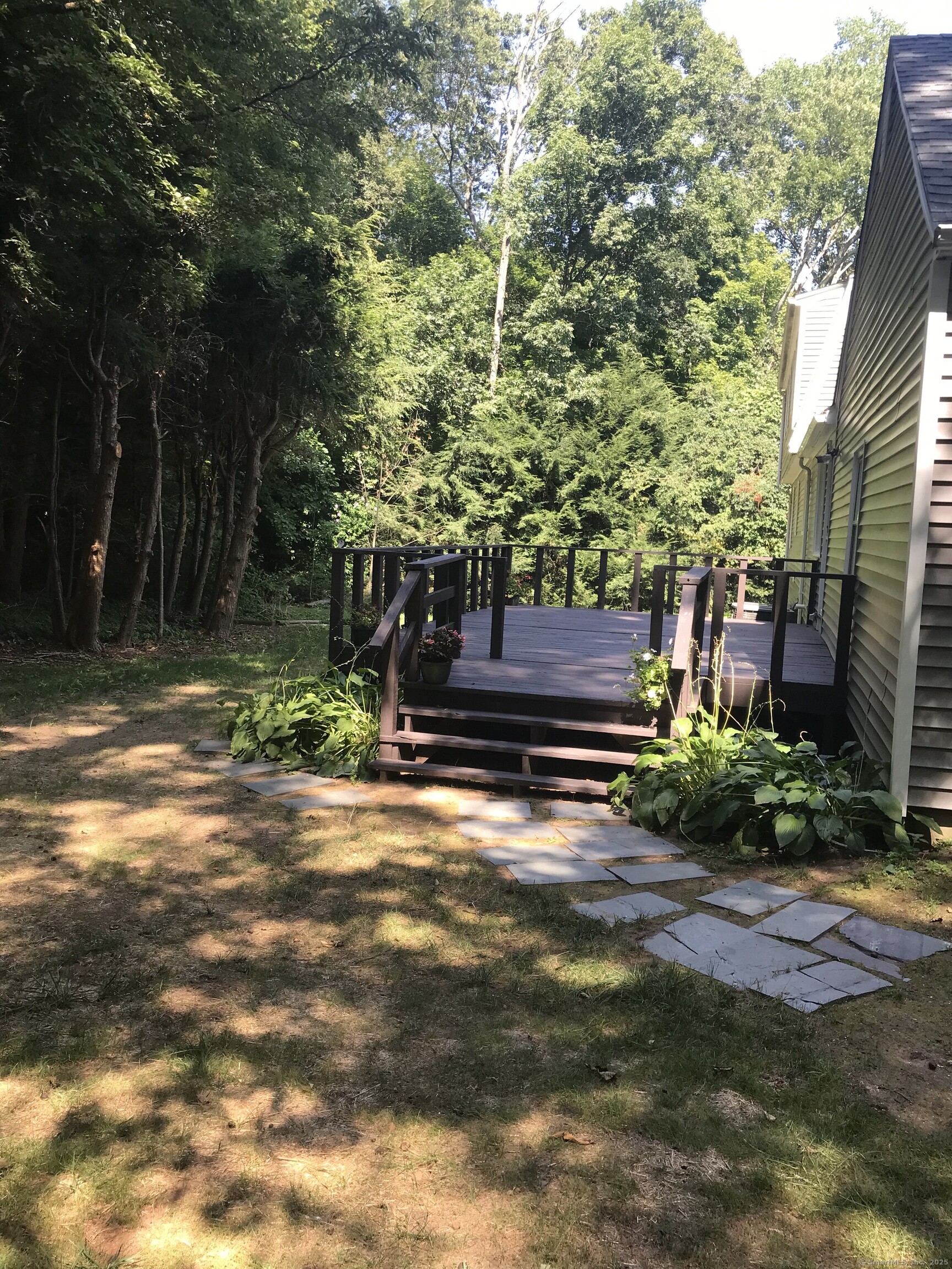 50 Wintergreen Lane