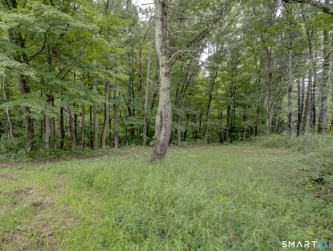 Tiny photo for 307 Mansfield Road, Ashford, CT 06278 (MLS # 24201631)