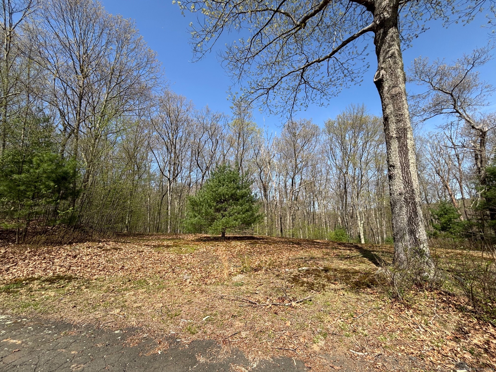 36 Portland Road, Marlborough, Connecticut image 26