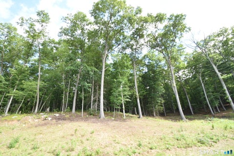 Tiny photo for 166 Boston Turnpike #E, Bolton, CT 06043 (MLS # 24184124)