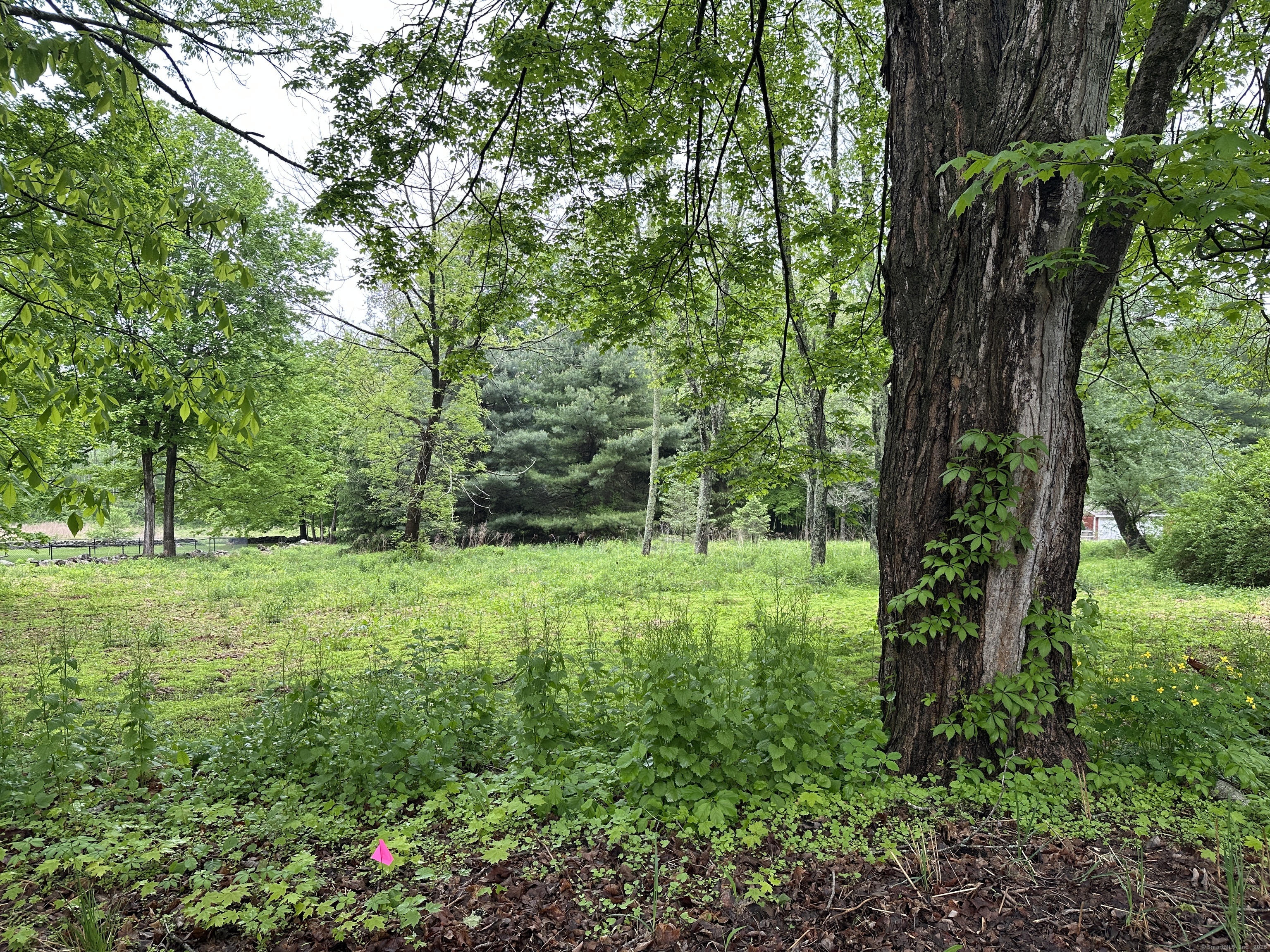 Prospect Hill Road, Colchester, Connecticut image 1