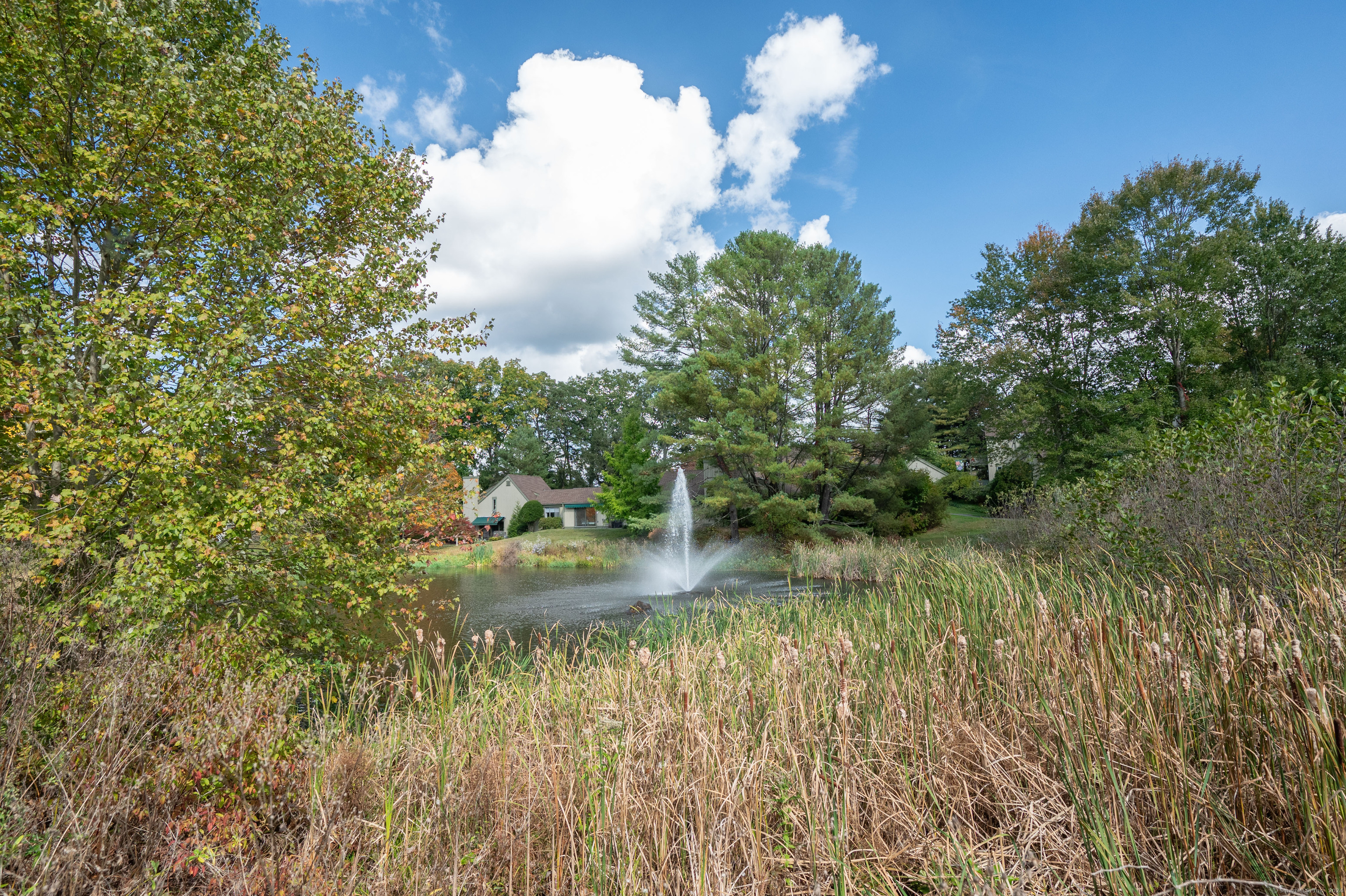 357 B Krueger Circle, Southbury, Connecticut image 39