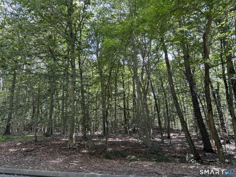 Vacant Land For Sale - LOT #6 S Brook Drive<br/> Stamford, CT 06904
