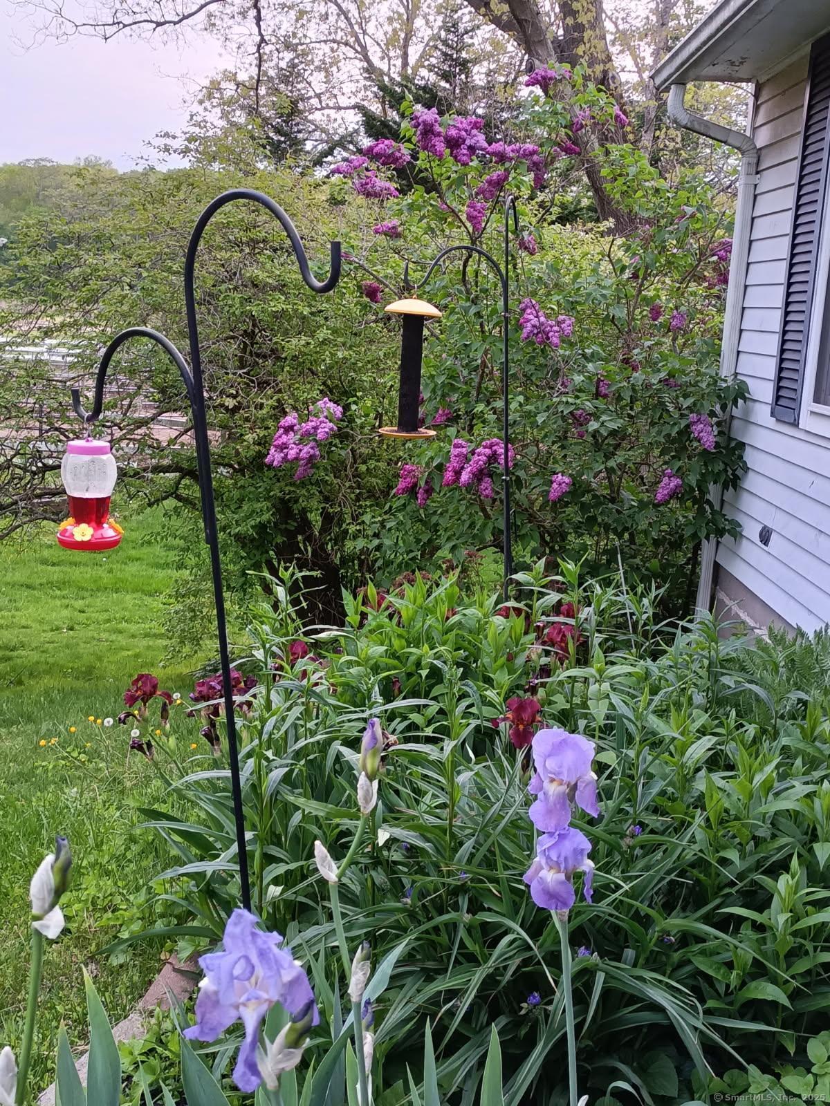 343 Pond Meadow Road, Westbrook, Connecticut image 34