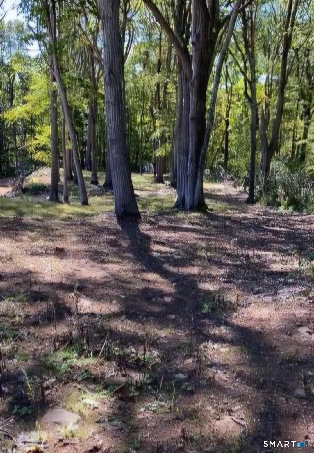 324 New City Road Road