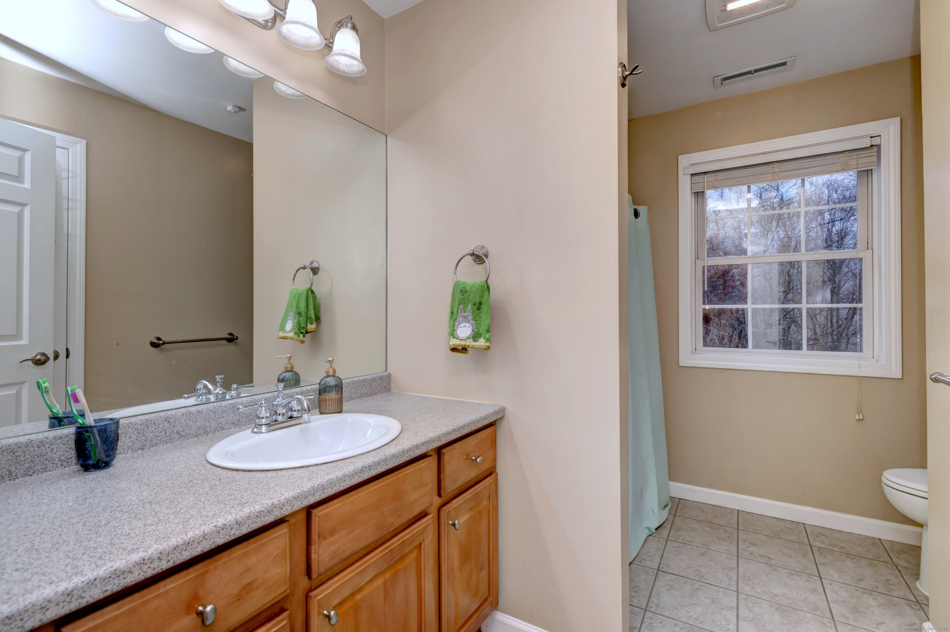 25 Evergreen Terrace, Seymour, Connecticut image 24