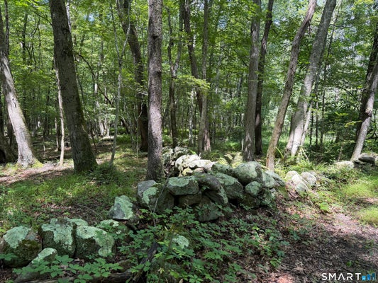 121 WALKER RD, CANTERBURY, CT 06331 - Image cb8b182870302da06a2aaed36bfcff72/3095526218