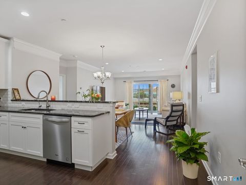 Tiny photo for 302 Center Meadow Lane #302, Danbury, CT 06810 (MLS # 24166018)