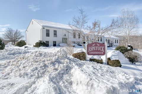 Tiny photo for 45 Aspetuck Village #45, New Milford, CT 06776 (MLS # 24153417)