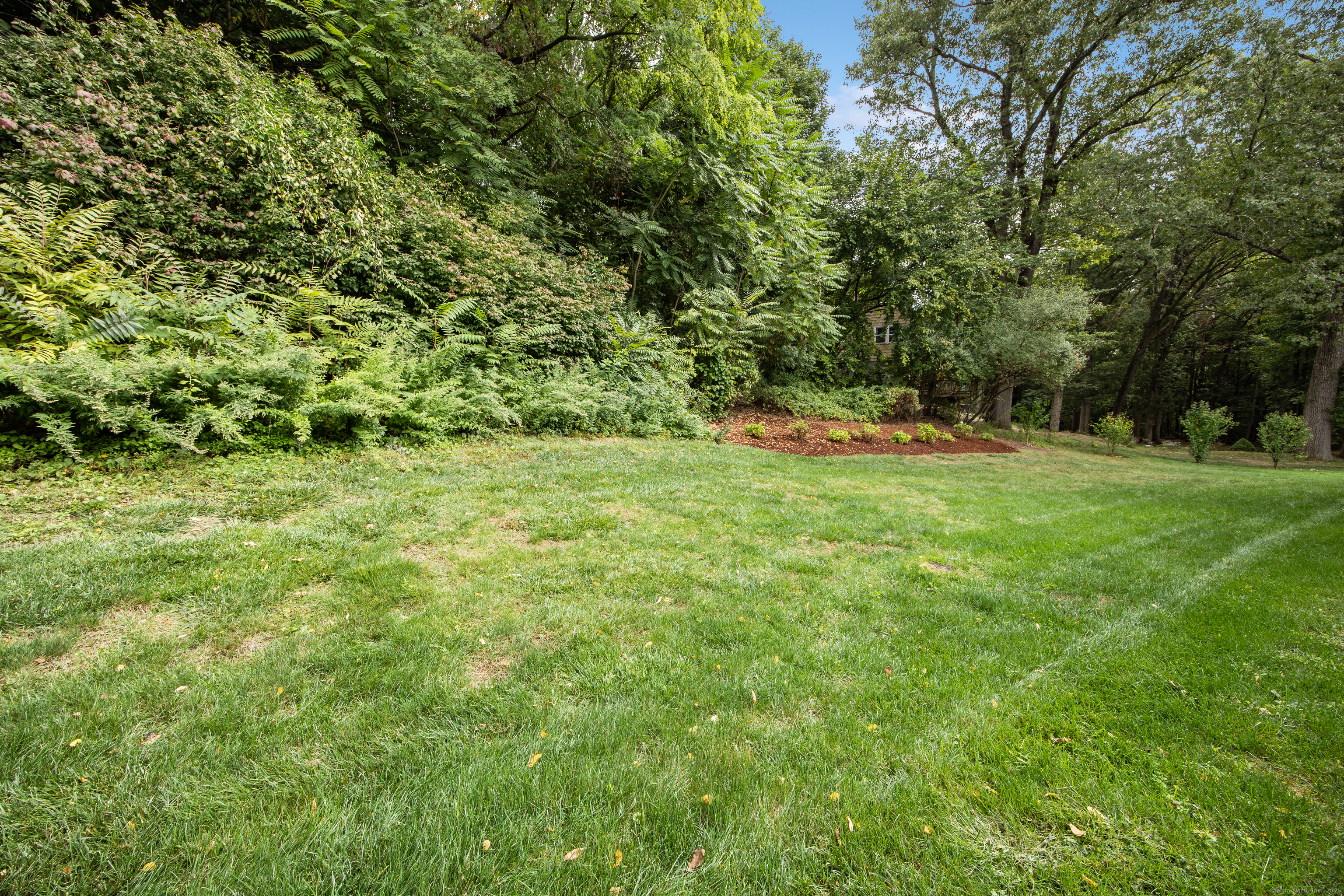 36 Buckland Street 22