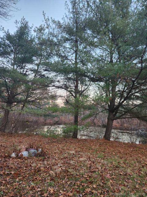 Tiny photo for 205 Camp Street #Rear House, Plainville, CT 06062 (MLS # 24141553)